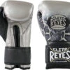 Cleto Reyes Training Boxing Gloves With Hook And Loop Closure - Silver/Black Steel Snake -Boxing Shop 71oBrmSAhPL. AC SL1200 74938.1666403352