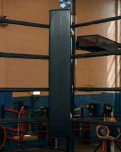 TITLE Boxing Blank Pro Corner Cushion V3.0 - Single 14 TITLE Boxing Blank Pro Corner Cushion V3.0 - Single -Boxing Shop CCPB3BK 1 9dbe1de2 ed02 49ba 8afe ac90435247e0