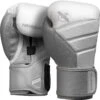 Hayabusa T3 Boxing Gloves White/Grey -Boxing Shop T3 BGloves White Gray 2019 Main Image c36b3025 bea0 4fc2 91f6 252f178cb0b6.png 88979.1593277668