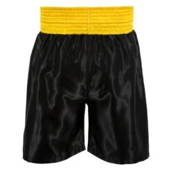 TITLE Boxing Edge Boxing Trunks 2.0 -Boxing Shop TBTC2 BK GD 3