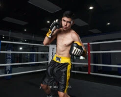 TITLE Boxing Edge Boxing Trunks 2.0 -Boxing Shop TBTC2BKGD2