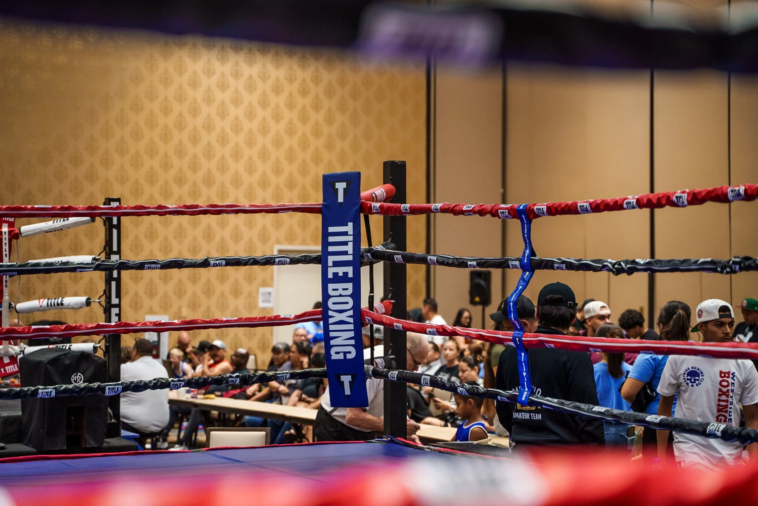 TITLE Boxing Two-Sided Rope Spacers 21 TITLE Boxing Two-Sided Rope Spacers - Image 19