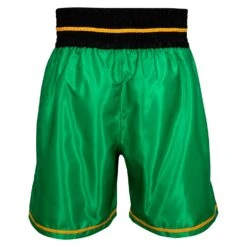 WBC By TITLE Boxing Professional Boxing Trunks -Boxing Shop WBCBT GN BK 3