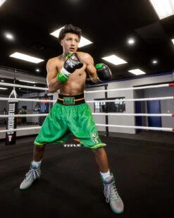 WBC By TITLE Boxing Professional Boxing Trunks -Boxing Shop WBCBTGN