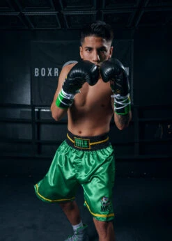 WBC By TITLE Boxing Professional Boxing Trunks -Boxing Shop WBCBTGR 3