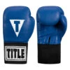 TITLE USA Boxing Competition Gloves - Elastic 2 TITLE USA Boxing Competition Gloves - Elastic -Boxing Shop acges bl 01 1 34109.1634346468
