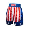 TITLE Boxing USA Stock Boxing Trunks -Boxing Shop btusa2 01