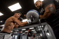 Fighting Sports Leather Punch Shield -Boxing Shop flps2 5