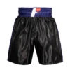 Fighting Professional Boxing Trunks 2 Fighting Professional Boxing Trunks -Boxing Shop fpst bk bl 1 1