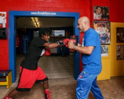 TITLE Boxing Memory Foam Punch Shield -Boxing Shop mfmps 03 1