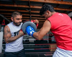 TITLE Boxing Memory Foam Punch Shield -Boxing Shop mfmps gr rd bk 3