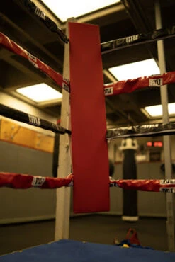 TITLE Boxing Blank Pro Corner Cushion V3.0 - Single 19 TITLE Boxing Blank Pro Corner Cushion V3.0 - Single -Boxing Shop osccb blank red 3