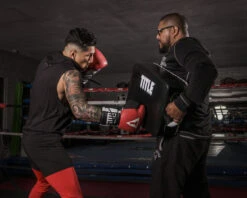 TITLE Boxing Square Punch & Kick Shield -Boxing Shop pshsq