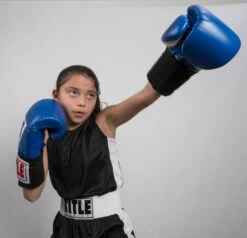 TITLE Boxing Aerovent Elite Amateur Set - Original 27 TITLE Boxing Aerovent Elite Amateur Set - Original -Boxing Shop tabs 1